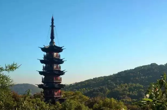 上海初夏骑行松江线路推荐 一路都有好美景[墙根网]