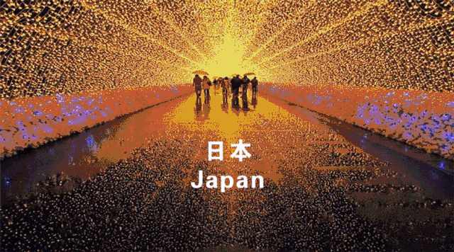 2019北京端午节有哪些活动?赛龙舟文化展览全都有[墙根网]