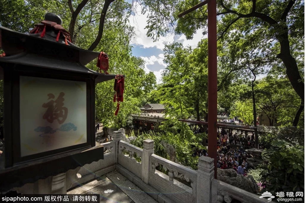 老北京才知道！6月消夏避暑看荷花，凉快还免费的地方就是……[墙根网]