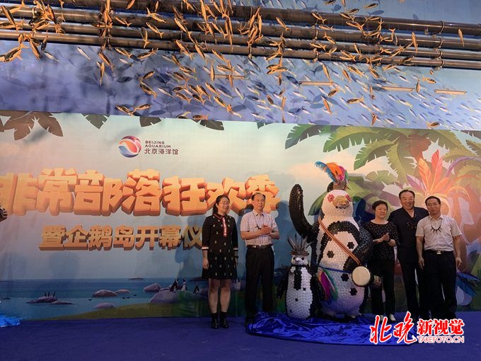 企鹅来了！北京海洋馆打造“非常部落狂欢季”[墙根网]