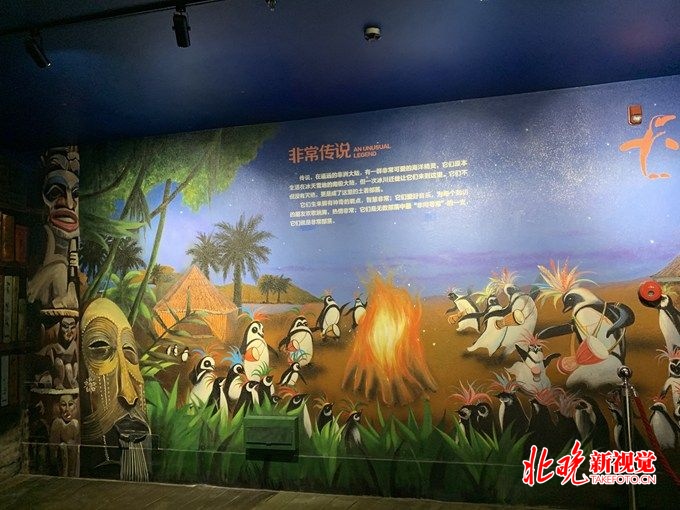 企鹅来了！北京海洋馆打造“非常部落狂欢季”[墙根网]