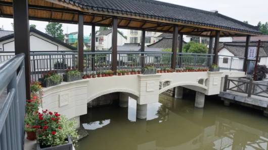 上海唯一那片“水上森林”7月10日起重新免费开放[墙根网]