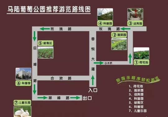 2019第十九届上海马陆葡萄节游玩线路推荐（附购票方式）