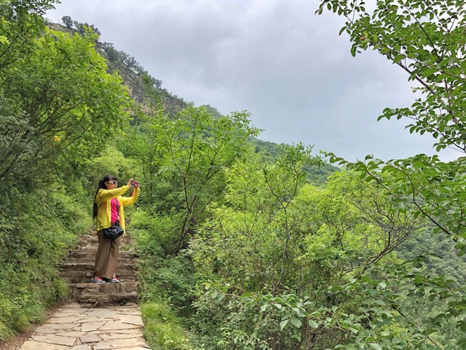 2019年门头沟区旅游文化节：清爽游斋堂亲子采红杏 斋堂红杏采摘节开启[墙根网]