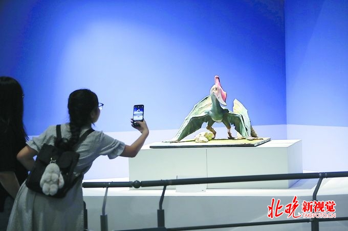 恐龙带羽毛，哺乳动物会滑翔？自然博物馆内探索飞行的奥秘[墙根网]