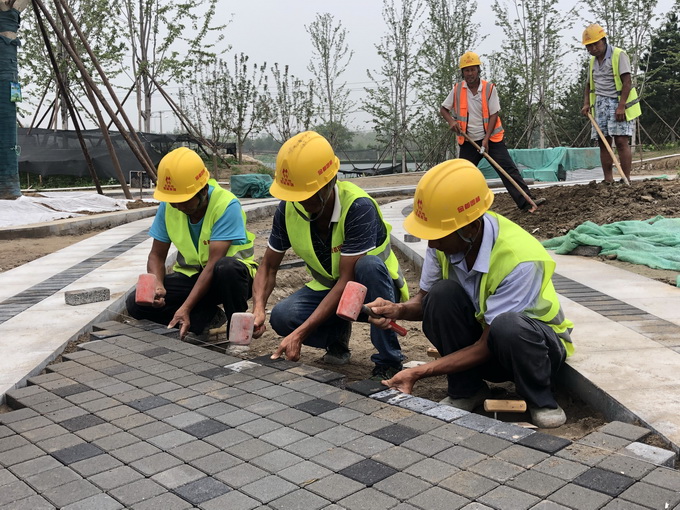 温榆河公园一期示范区明年5月开放 建成后将成北京最大“绿肺”[墙根网]
