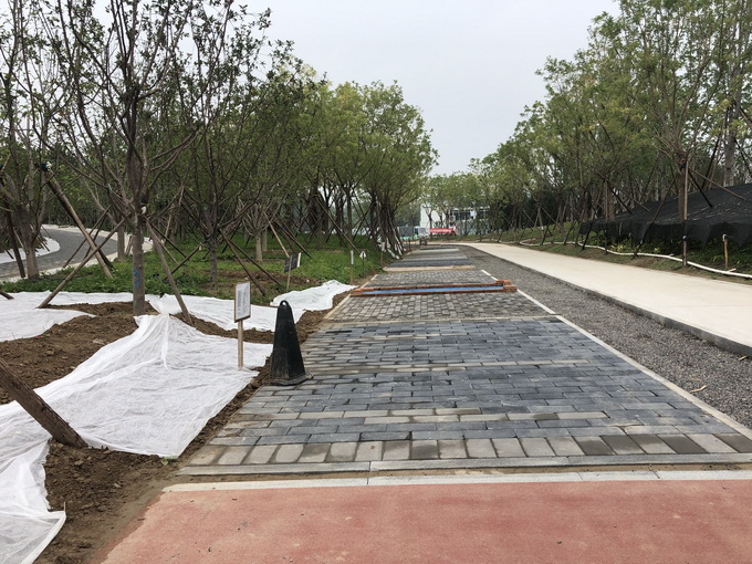 温榆河公园一期示范区明年5月开放 建成后将成北京最大“绿肺”[墙根网]