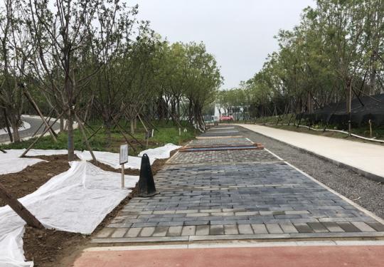 温榆河公园一期示范区明年5月开放 建成后将成北京最大“绿肺”