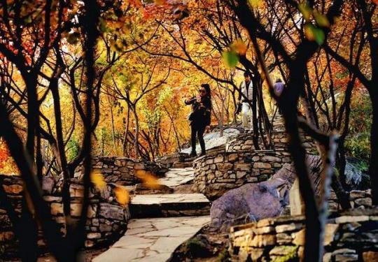 最适合秋天北京周边自驾的5条山路，秋景一个比一个美，自驾游爱好者的“天堂”