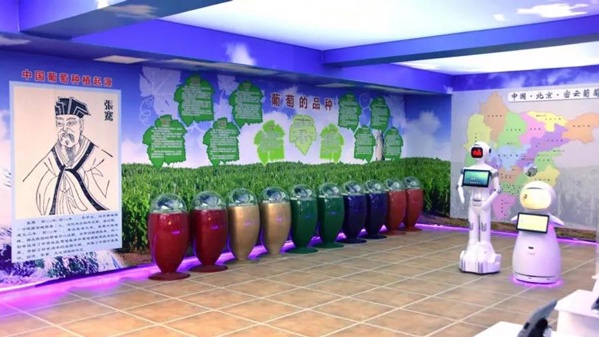 徜徉三百年皇家葡园，醉享芬芳花香累累硕果[墙根网]