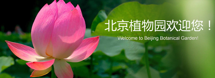 2019北京植物园七夕活动