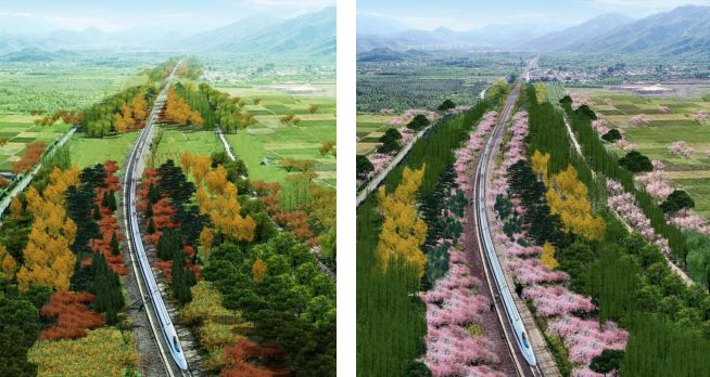 北京再添一趟“开往春天的列车”！串联30余处景点，一站一特色[墙根网]