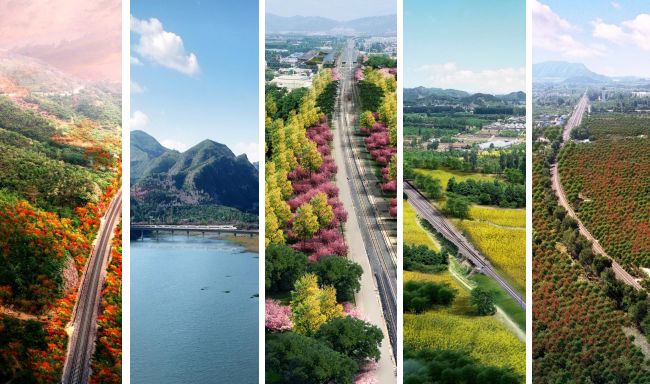 北京再添一趟“开往春天的列车”！串联30余处景点，一站一特色[墙根网]