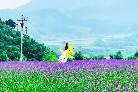 住20℃花海民宿，赏花骑游，吹清凉山风，与“热”隔绝！[墙根网]