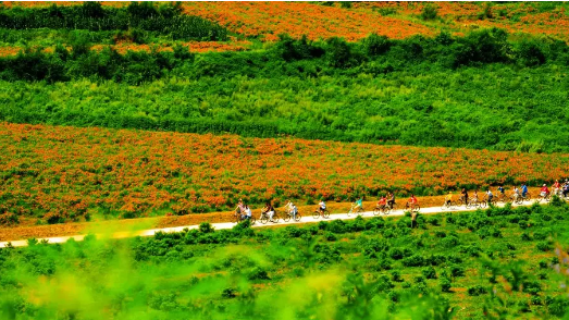 住20℃花海民宿，赏花骑游，吹清凉山风，与“热”隔绝！[墙根网]