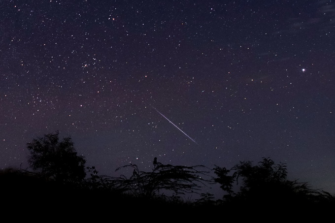 英仙座流星雨将迎极值，每年固定时间准点儿上演！你想许什么愿？[墙根网]