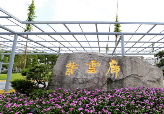 上海嘉定紫云廊试运营开园 又新添一处紫藤观赏好去处