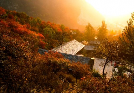 卧赏红叶山景——细数北京那些需要提前2个月预订的“红叶民宿”