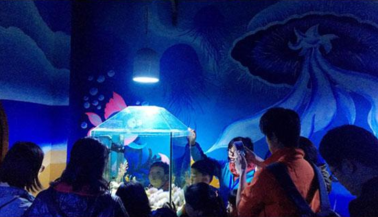 2019北京亲子夜宿奇妙海洋馆时间地点、门票价格、活动安排[墙根网]