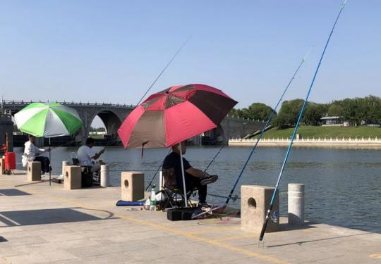 北京通州新开9处垂钓点，钓友有了新“渔趣”！鱼是检验水质的标准
