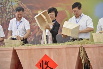 2019海淀区“中国农民丰收节”开幕，邀您品美食赏美景享丰收[墙根网]