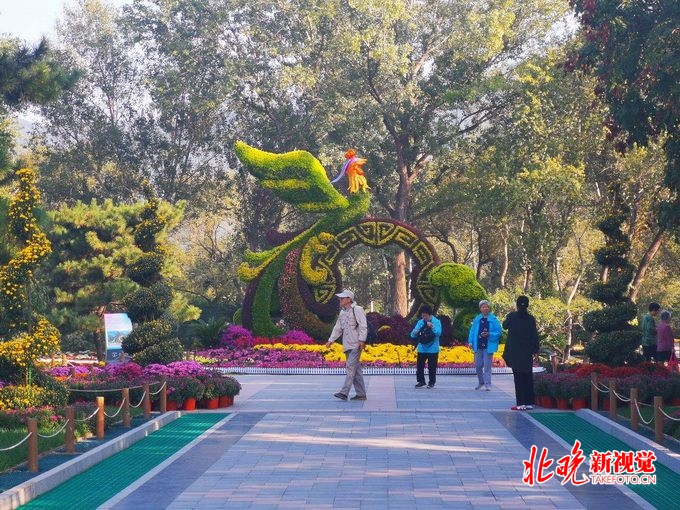 北京植物园将开市花展，40万株鲜花迎国庆，以菊花、月季为主[墙根网]