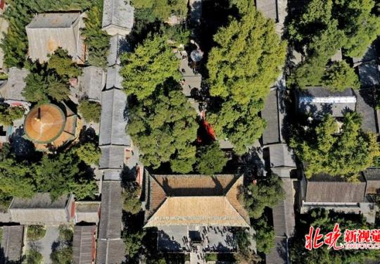 潭柘寺柘树文化节开幕，重现千嶂绿色生态景观