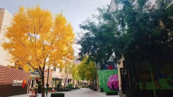 北京顺义“金秋十月•文旅狂欢季” ！全力打造全域文化旅游生态圈