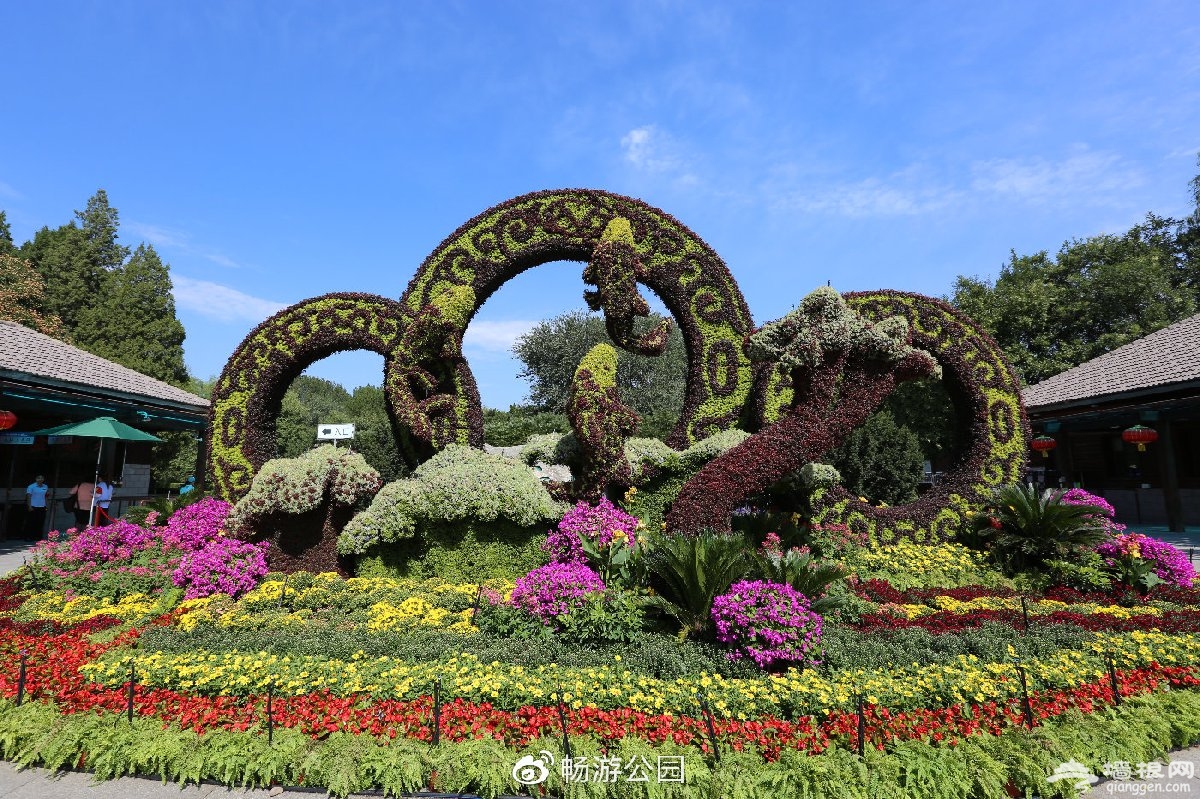 莲花山公园迎来最美时刻，这场花展让你惊艳！_读特新闻客户端