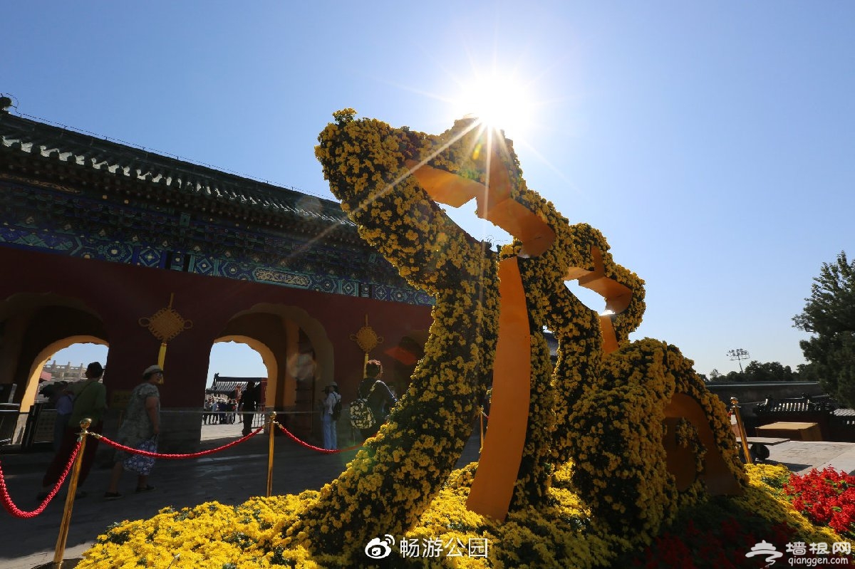 2019国庆北京各公园花坛主题图片及分布地点展出时间