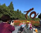 2019國慶北京各公園花壇主題圖片及分布地點展出時間