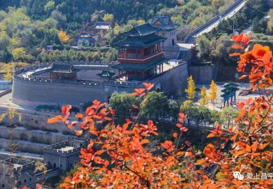 秋天登高賞美景，京郊昌平竟然這么多好去處，挑喜歡的去！