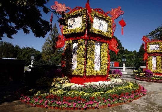 北京市第四十届菊花展北海阐福寺开展，近百个品种的菊花闪亮登场