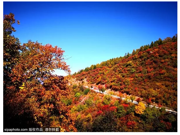 10月北京最佳小众旅行地！绝不能错过的秋色，到底有多美？[墙根网]