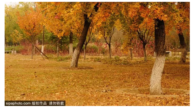 10月北京最佳小众旅行地！绝不能错过的秋色，到底有多美？[墙根网]