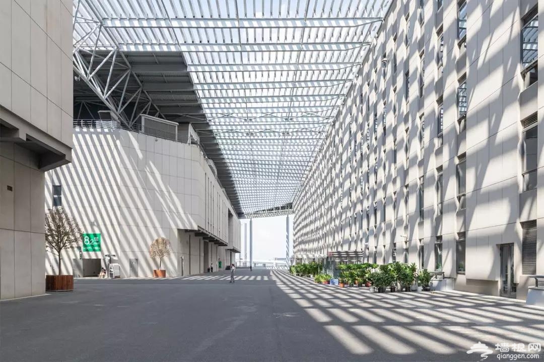 2019上海进博会国家展延展可免费参观，今起网上预约！[墙根网]