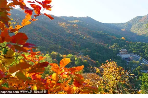 除了香山，北京还有这些秋游的好去处！[墙根网]