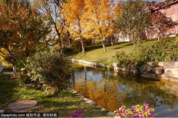 一步一景美到哭！北京秋游地图请收好，看完就出发！[墙根网]