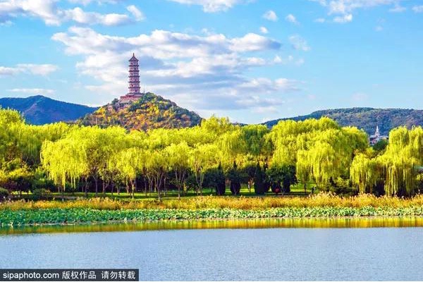 一步一景美到哭！北京秋游地图请收好，看完就出发！[墙根网]