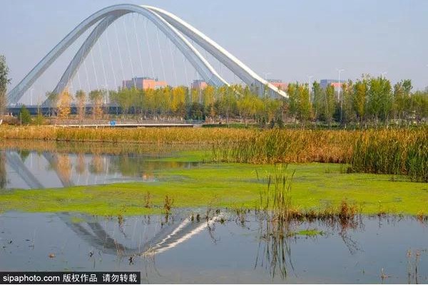 一步一景美到哭！北京秋游地图请收好，看完就出发！[墙根网]
