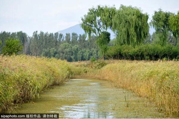 一步一景美到哭！北京秋游地图请收好，看完就出发！[墙根网]