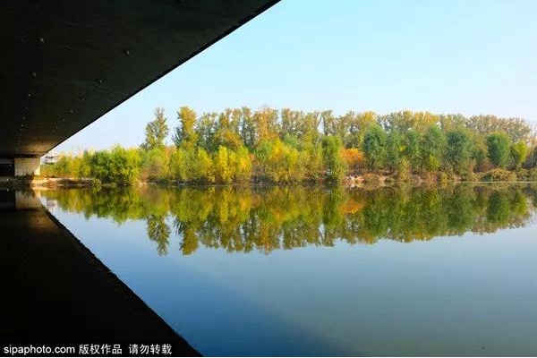 一步一景美到哭！北京秋游地图请收好，看完就出发！[墙根网]