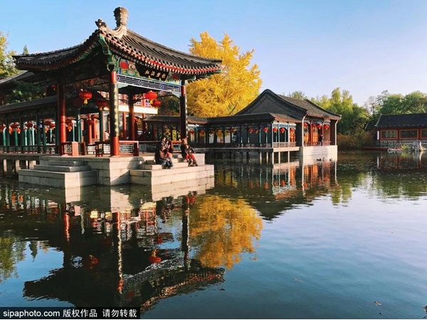 京城最惊艳的秋日梦境，每一眼都让人迷醉……看过就忘不了！[墙根网]