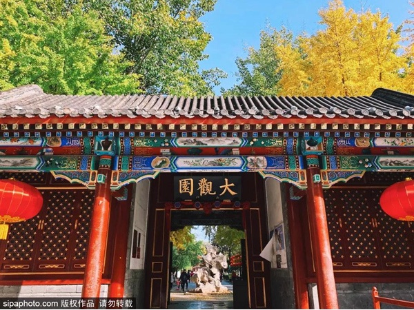 京城最惊艳的秋日梦境，每一眼都让人迷醉……看过就忘不了！[墙根网]