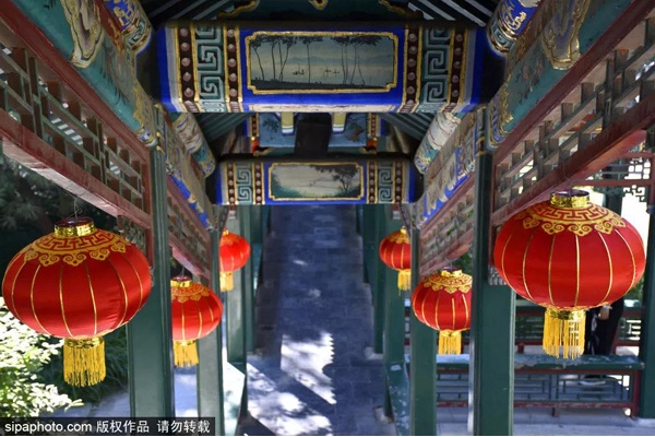 京城最惊艳的秋日梦境，每一眼都让人迷醉……看过就忘不了！[墙根网]