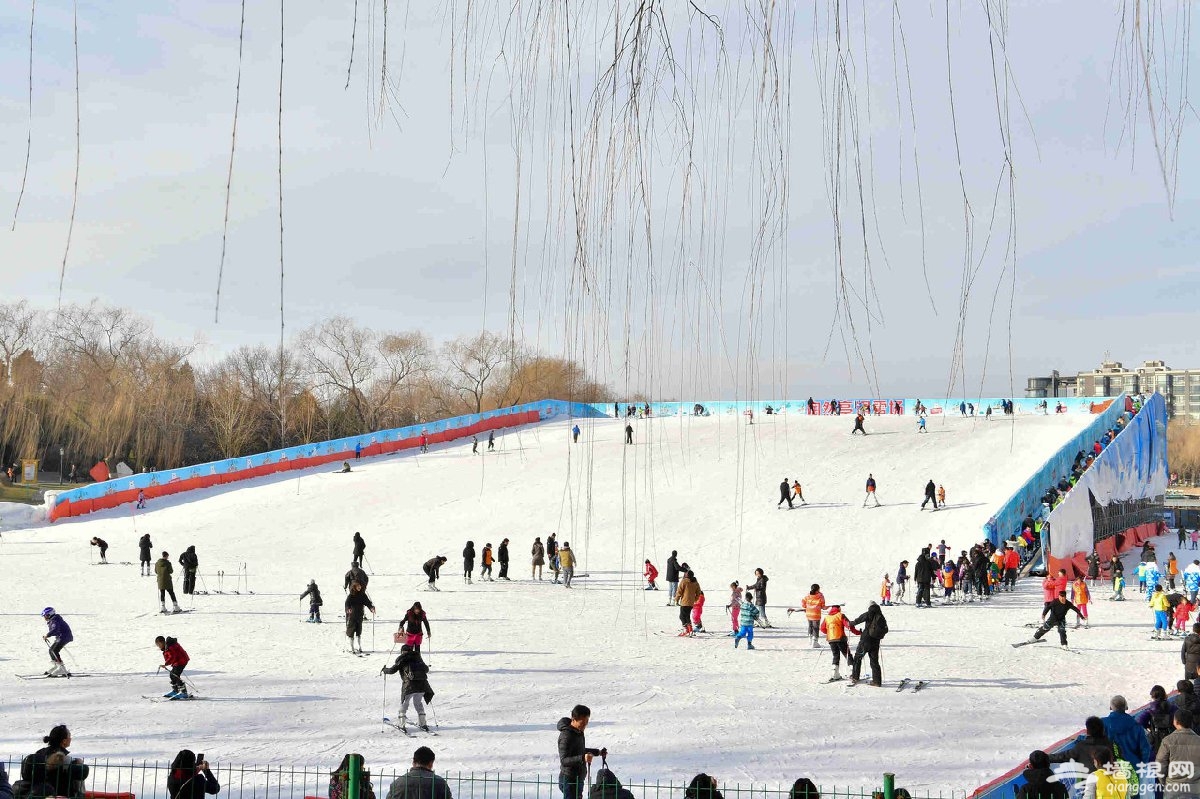 2019—2020北京陶然亭公园冰雪嘉年华活动时间（开始+结束）