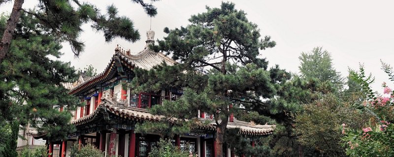 北京大学赛克勒博物馆千山共色—丝绸之路文明特展时间+门票