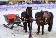 【房山·冰雪】38.8元起抢购沃联福冰雪嘉年华两大一小套票，周末节假日通用
