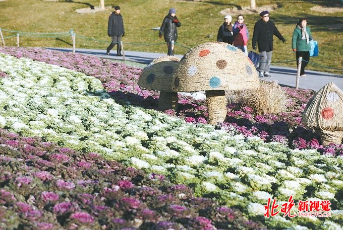 2019北京市属公园今推冬日赏景攻略[墙根网]
