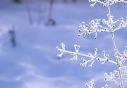 2019-2020北京雁栖湖冰雪文化节活动亮点抢先知